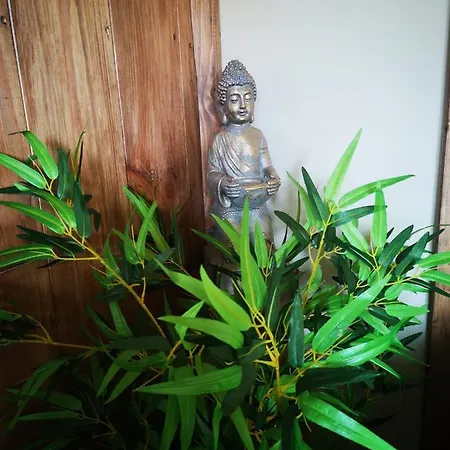 L'imprevu Lary Soulan Konukevi Saint-Lary-Soulan