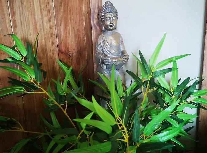 L'imprevu Lary Soulan بيت ضيافة سانت لاري سولون